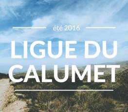 Ligue du Calumet 2016