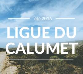 Ligue du Calumet 2016